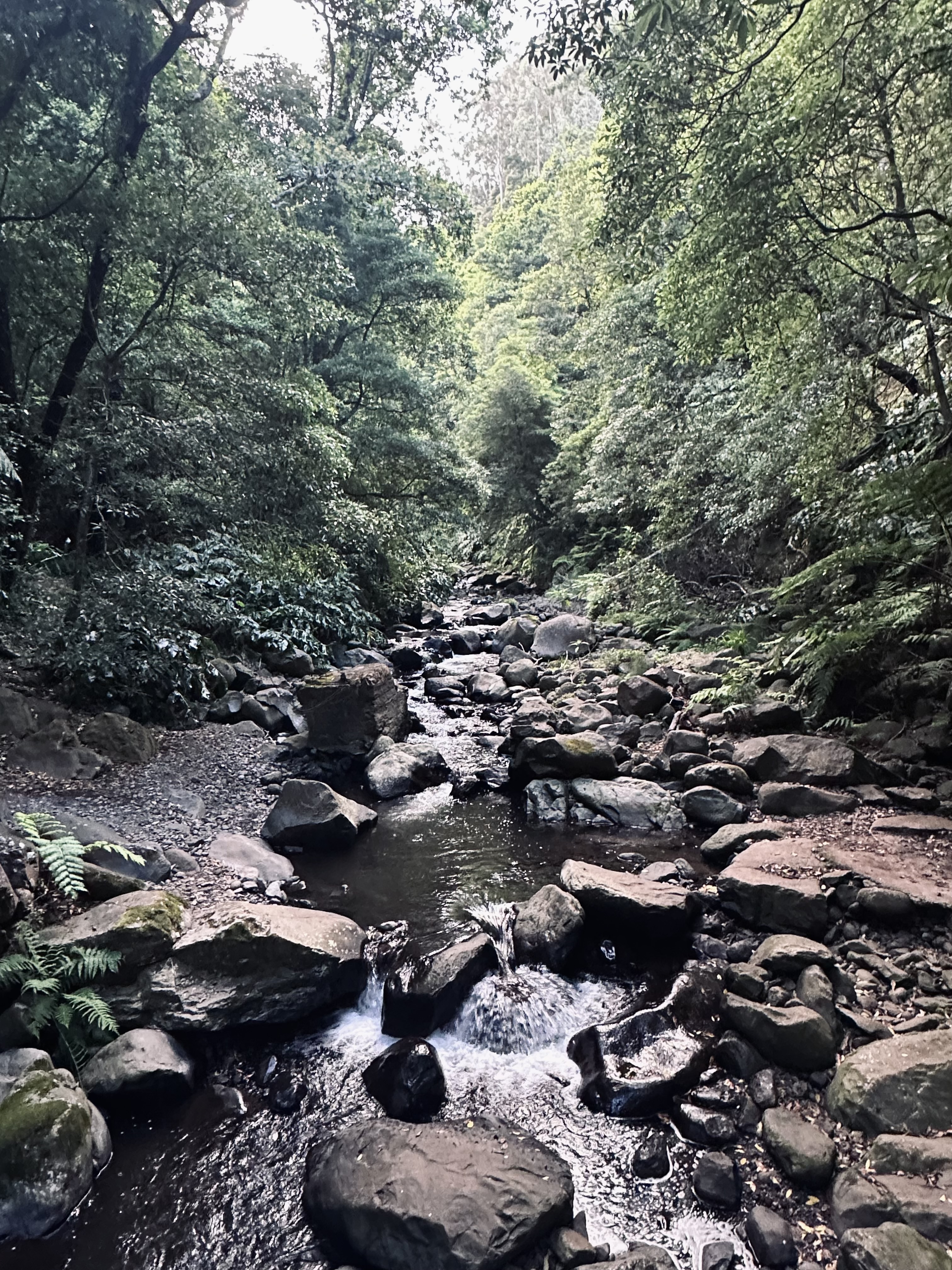 Tiny waterfall